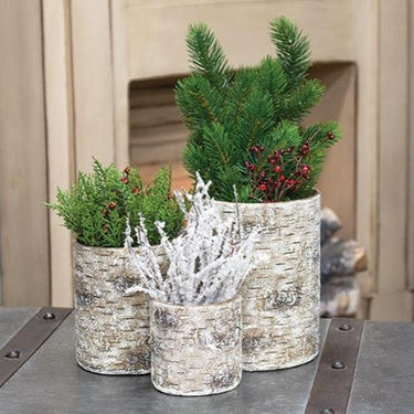 3 Set Birch Containers - The Fox Decor